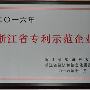 湖州新開(kāi)元 浙江省專利示范企業(yè)